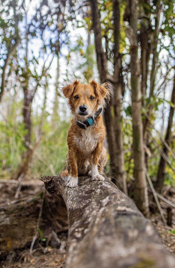 Tater Hiking